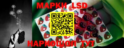 Альфа ПВП Малоярославец