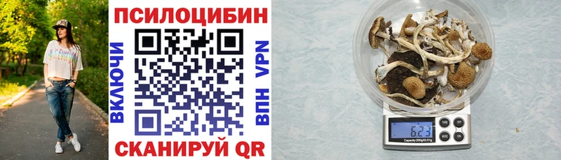Галлюциногенные грибы Magic Shrooms купить цена Вятские Поляны
