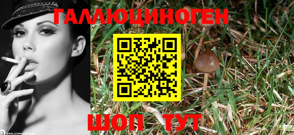 купить наркотики сайты  Галлюциногенные грибы Psilocybine cubensis  Вход с VPN  Вятские Поляны 